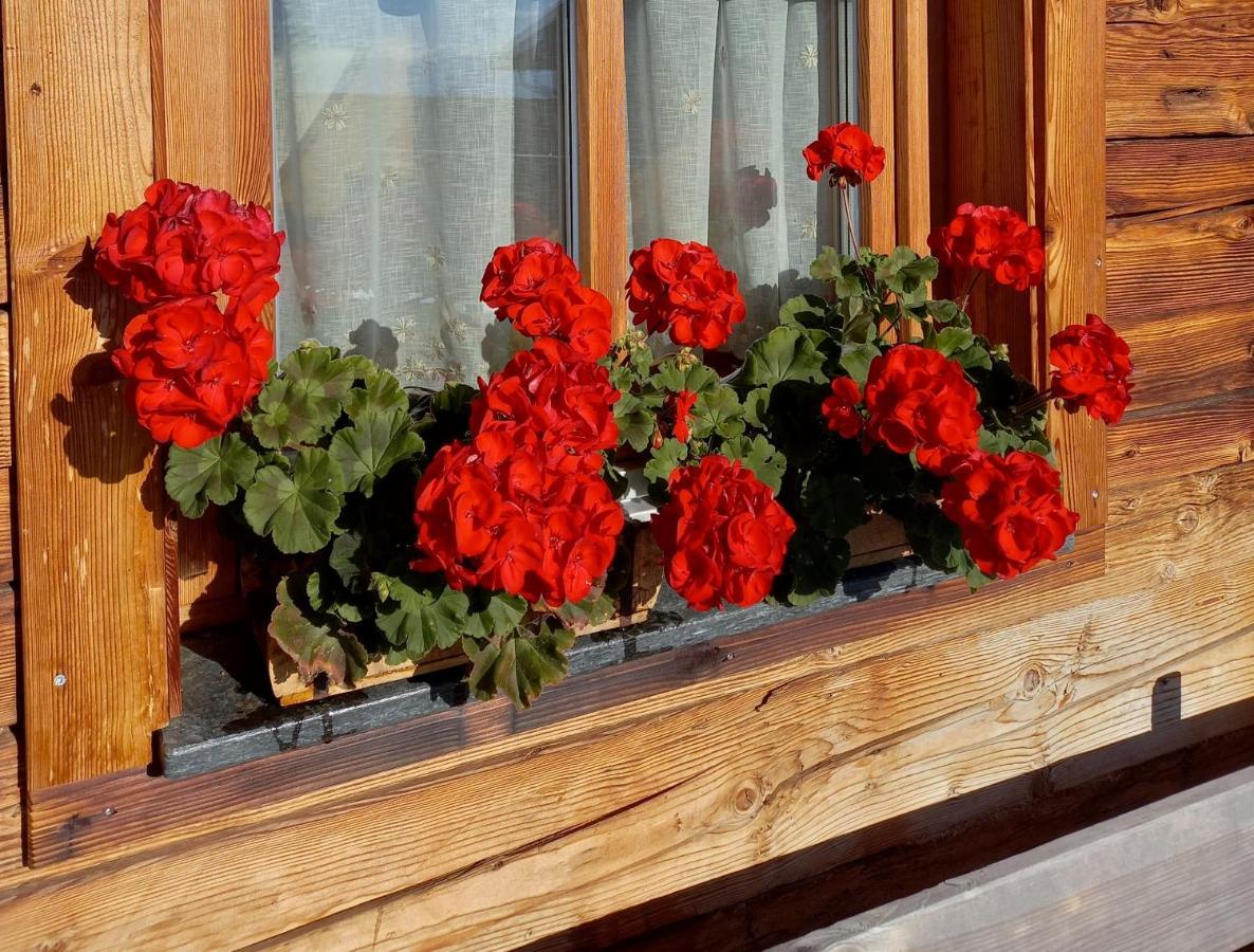 Almchalet Schuster Diex Ngoại thất bức ảnh
